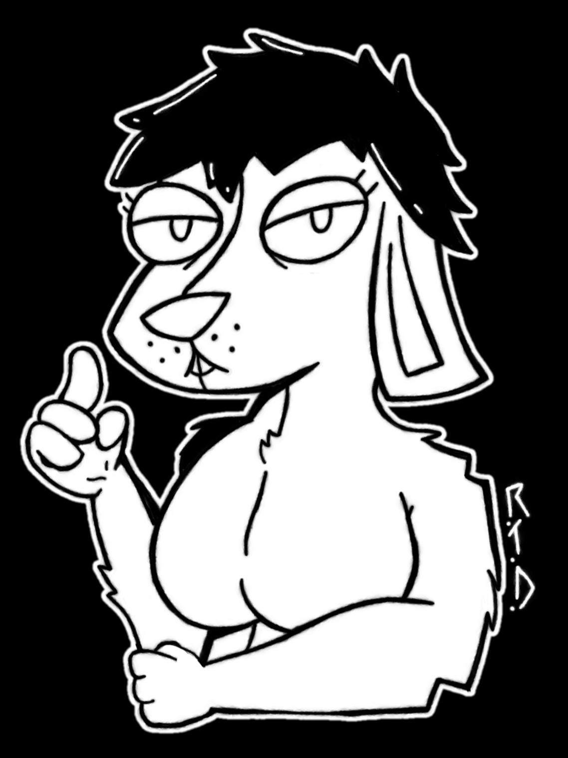 pina the bnuy